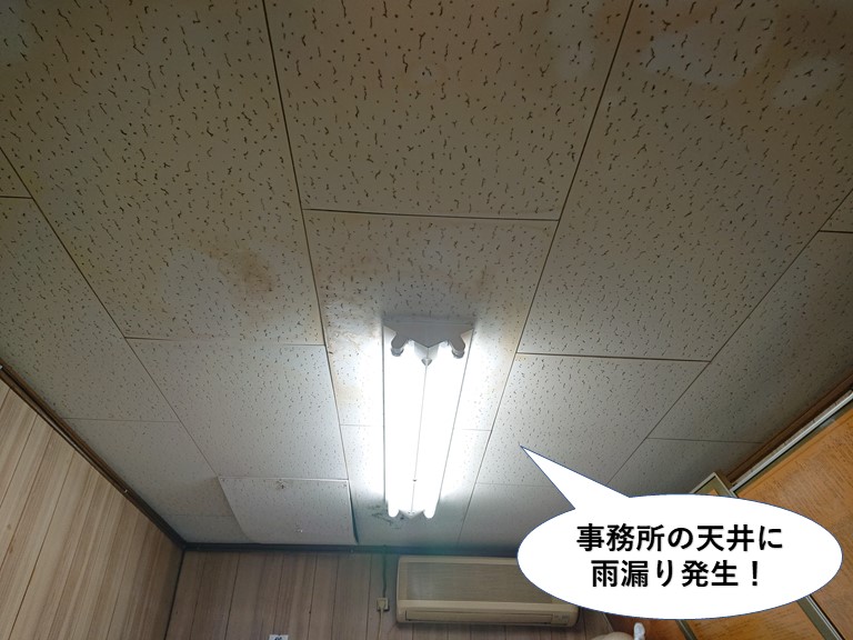 阪南市の事務所の天井に雨漏り発生