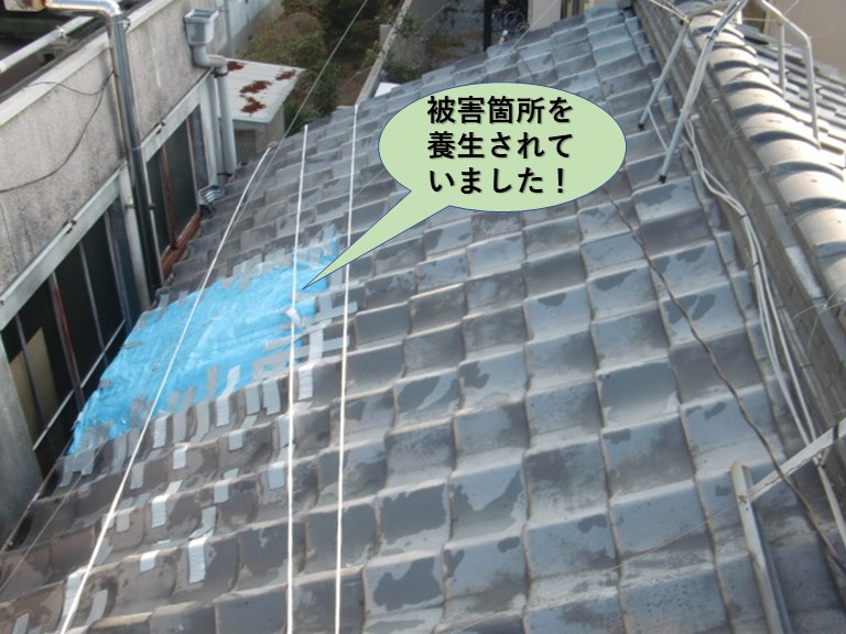 岸和田市の屋根の被害箇所を養生されていました