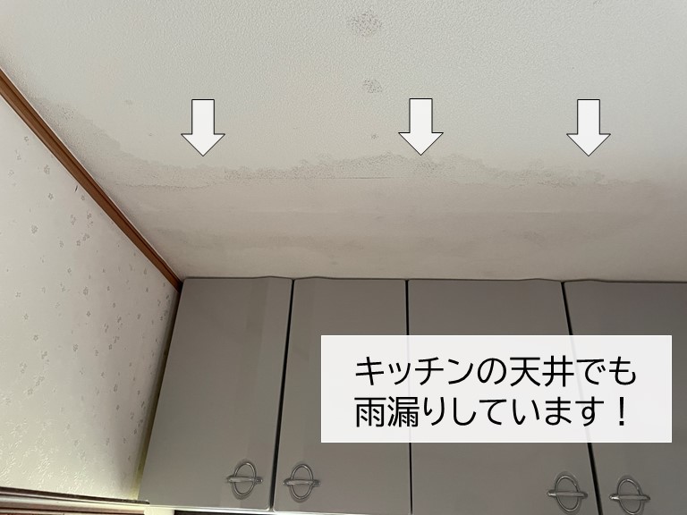 貝塚市のキッチンの天井でも雨漏りしています