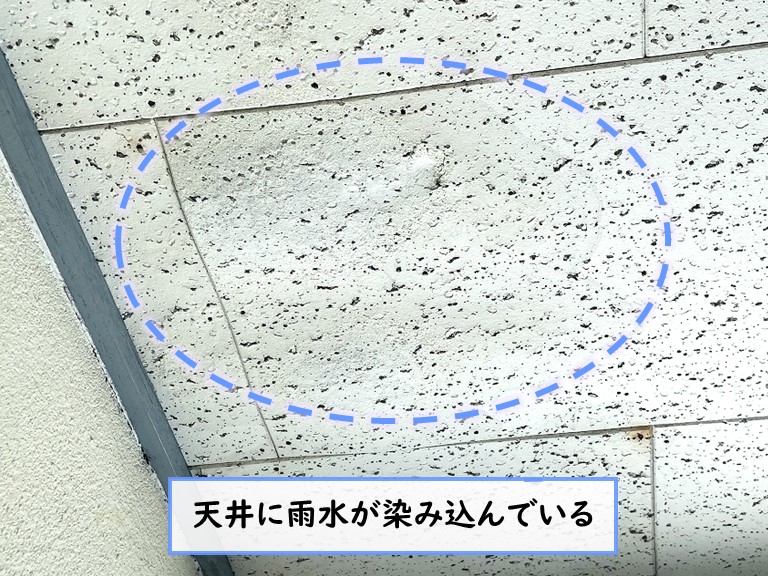 和泉市 天井に雨水が染み込んでいる