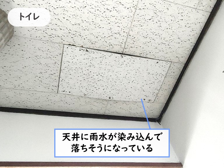 和泉市 天井に雨水が染み込んで落ちそう