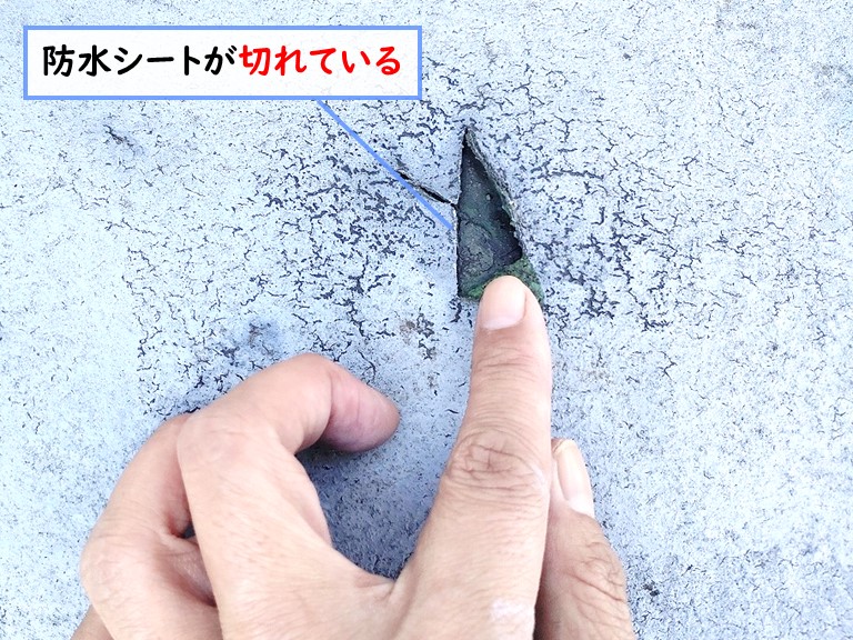 和泉市にて屋根の防水塗膜が劣化して雨漏り発生！現場調査を実施
