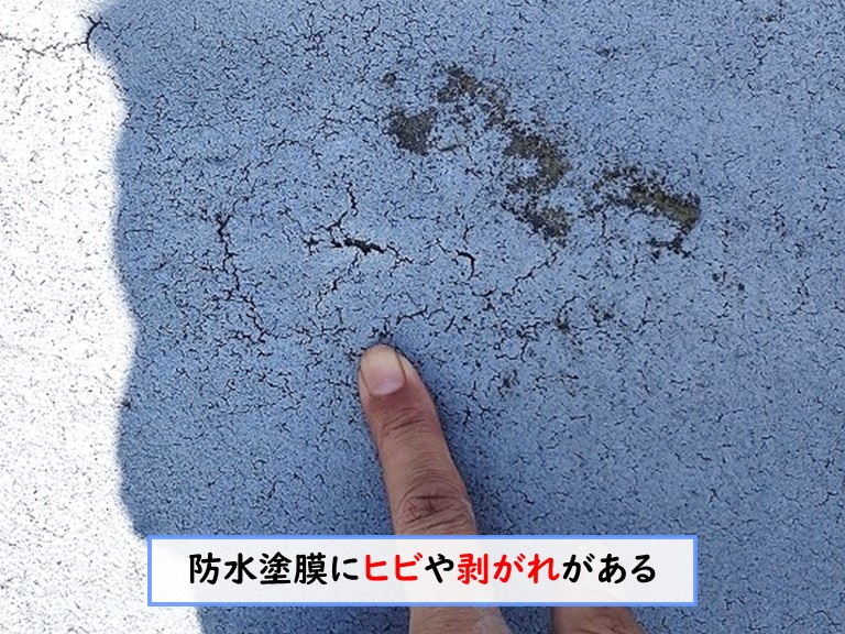 和泉市 防水塗膜にヒビや剥がれがある