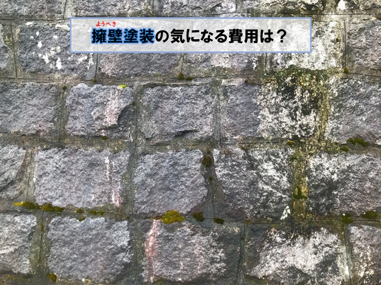 和泉市で擁壁塗装の気になる費用は