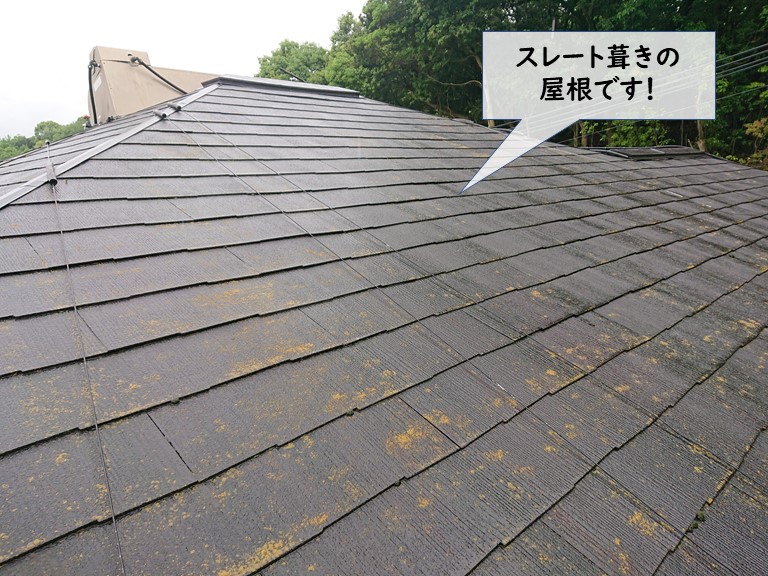 和泉市のスレート葺きの屋根