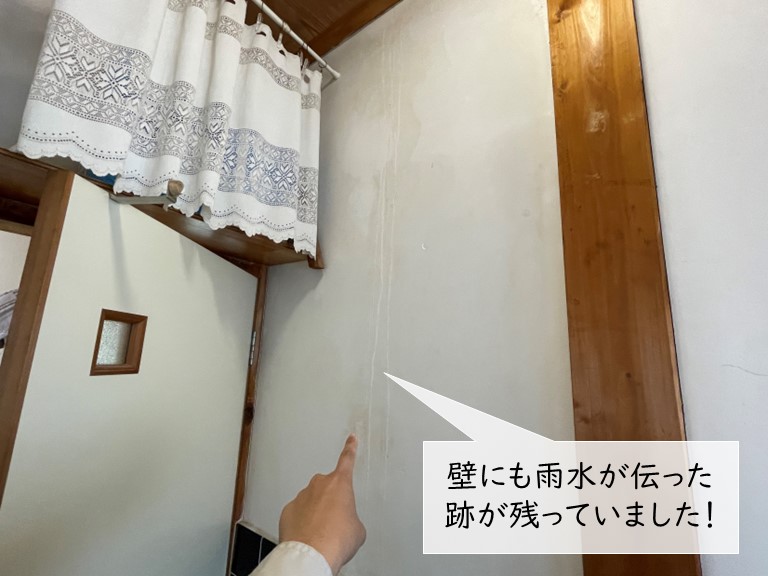 和泉市のトイレの壁にも雨水が伝っています