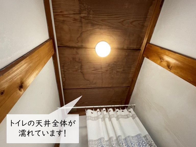和泉市のトイレの天井が濡れています