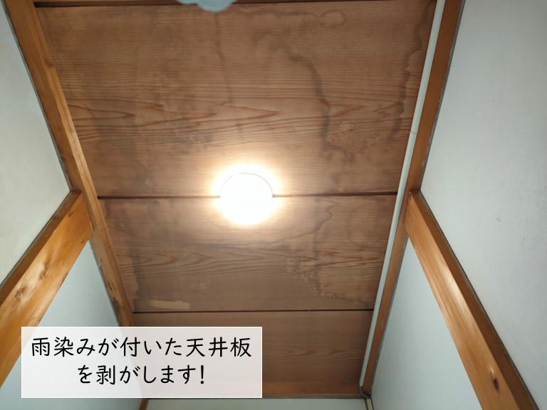 和泉市のトイレの天井の雨漏り