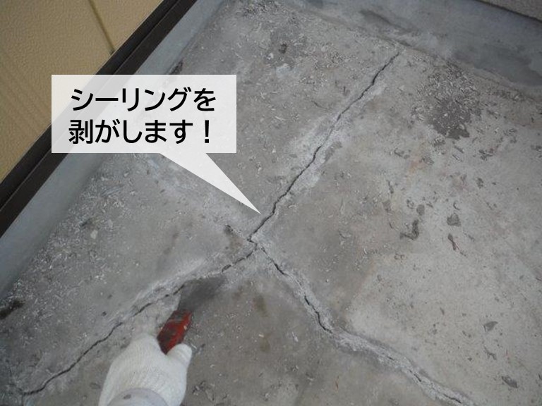 和泉市のベランダのひび割れに充填したシーリングを剥がします