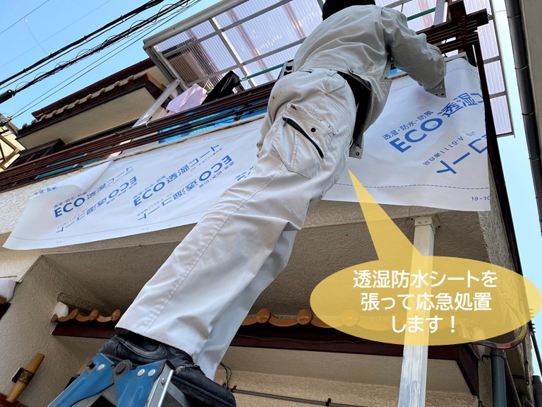 和泉市のベランダの外壁に透湿防水シートを張って応急処置します