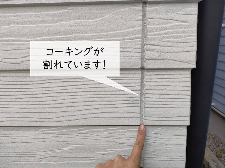 和泉市の屋根・外壁塗装の調査！色分け塗装もできます！