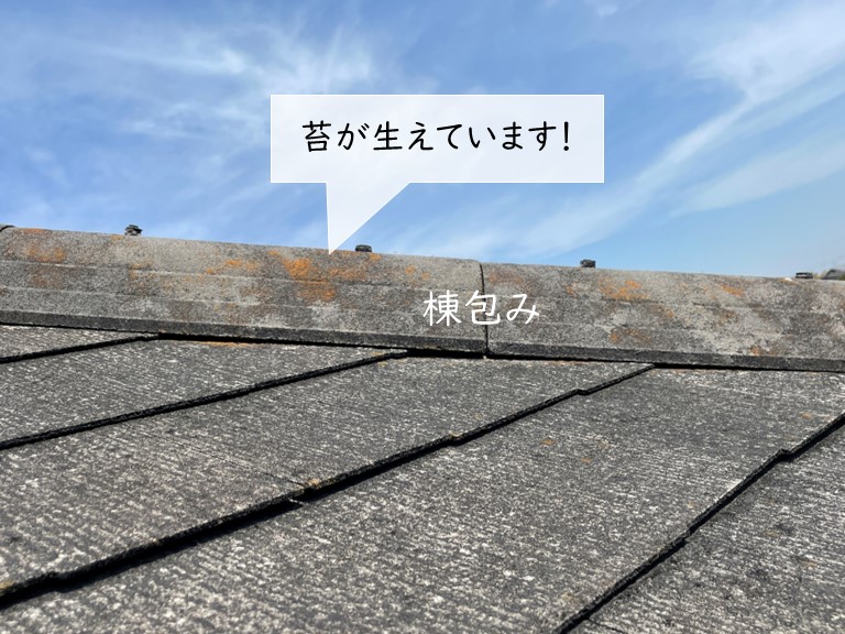 和泉市の棟包みに苔が生えています