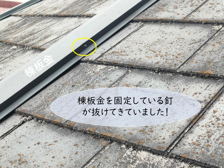和泉市の棟板金を固定している釘が抜けてきていました