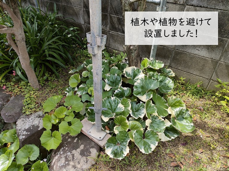 和泉市の植木や植物を避けて足場を設置