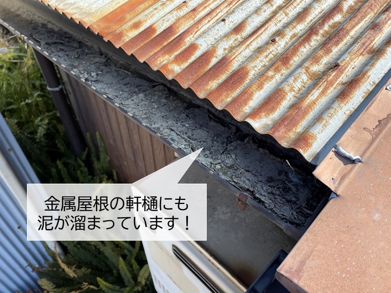 和泉市の金属屋根の軒樋にも泥が溜まっています