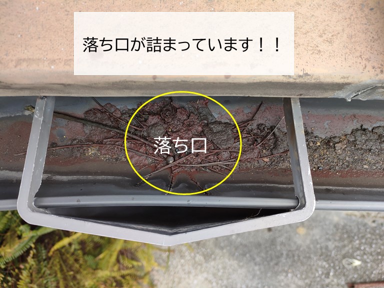 和泉市の金属屋根の軒樋の落ち口も詰まっています