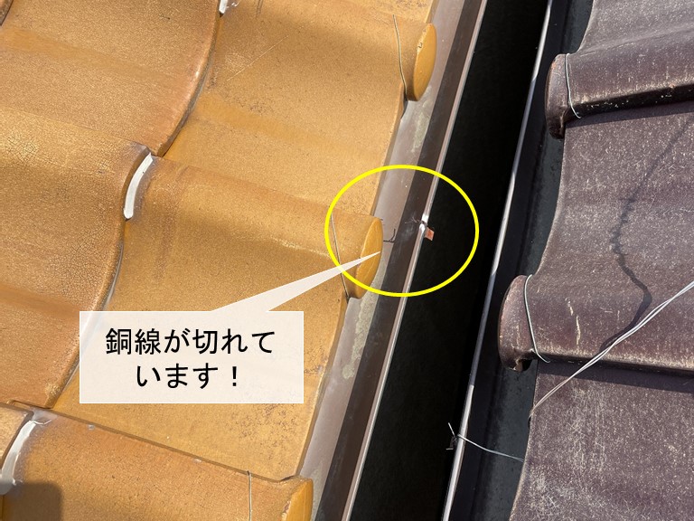 和泉市の雨樋の銅線が切れています！