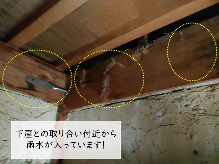 和泉市の雨漏りで下屋の取り合いから雨水が入ってました
