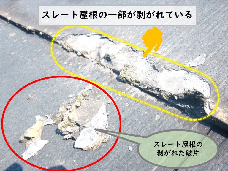 和泉市スレート屋根一部剥がれ