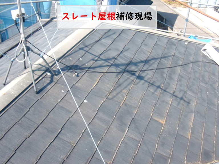 和泉市スレート屋根補修現場