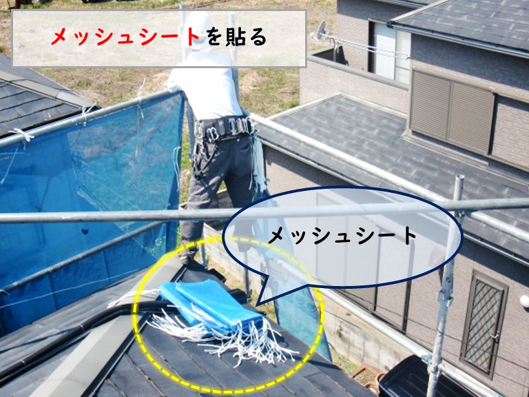 和泉市メッシュシートを貼る
