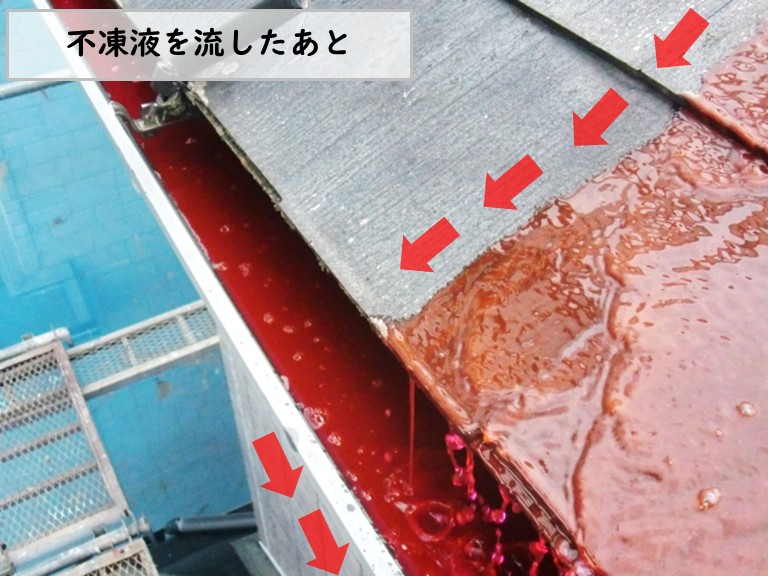 和泉市不凍液を流したあと