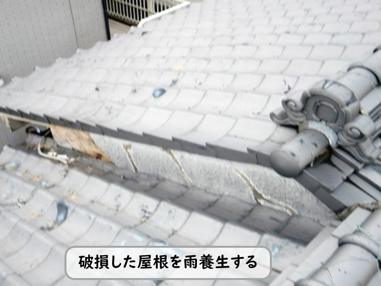 和泉市台風被害屋根養生