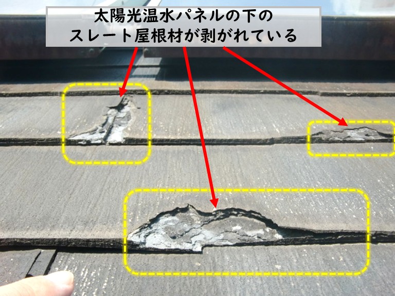 和泉市で屋根塗装前のスレート屋根点検、屋根劣化で補修もご提案