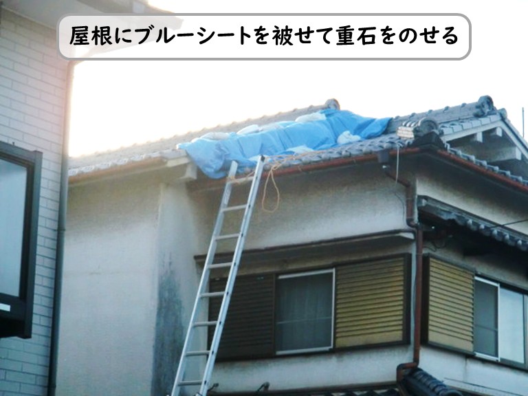 和泉市で瓦屋根が台風被害！ブルーシートで緊急屋根養生を実施
