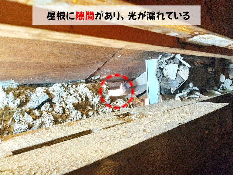 和泉市にて屋根裏に猫が侵入！瓦の隙間を焼き杉板で塞ぎました