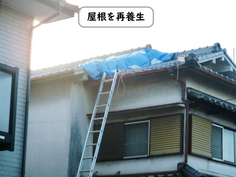 和泉市屋根を再養生