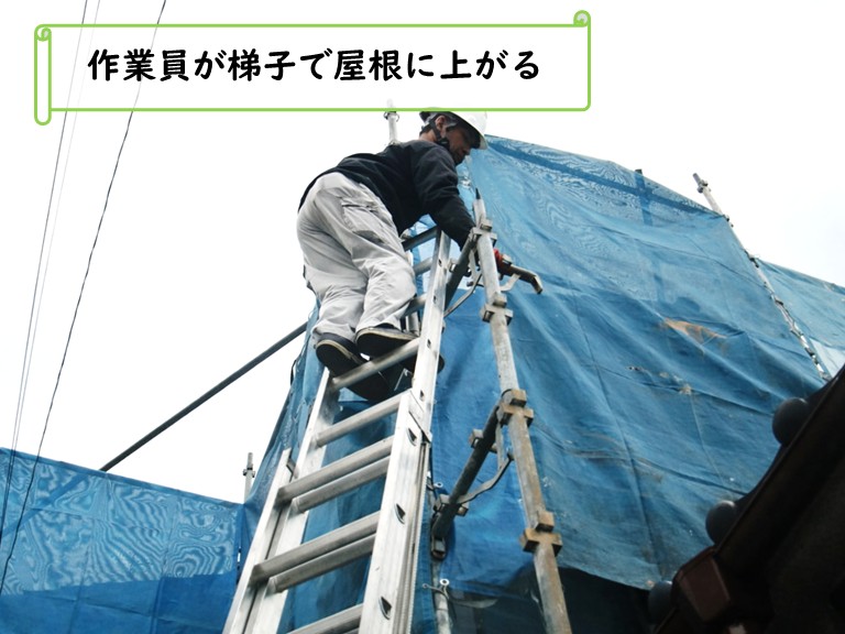 和泉市梯子で屋根に上がる