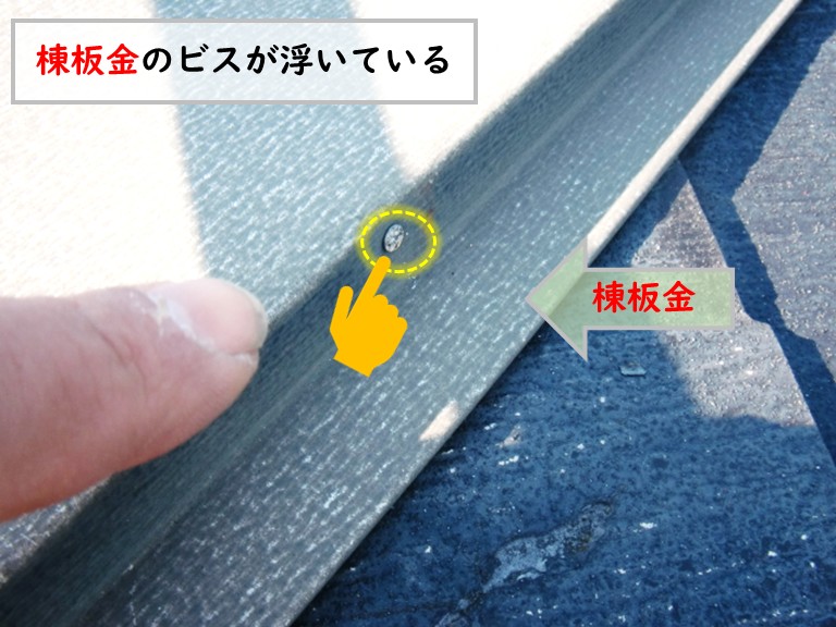 和泉市棟板金ビス浮き