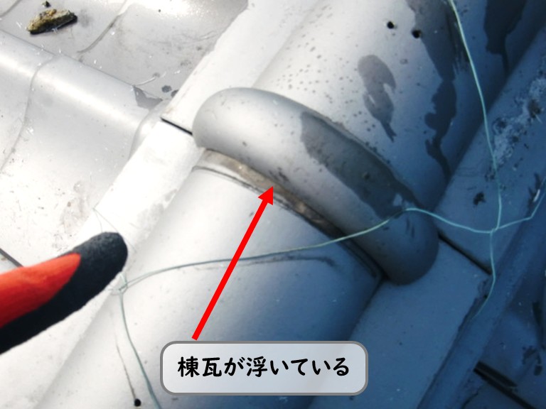 和泉市棟瓦浮き