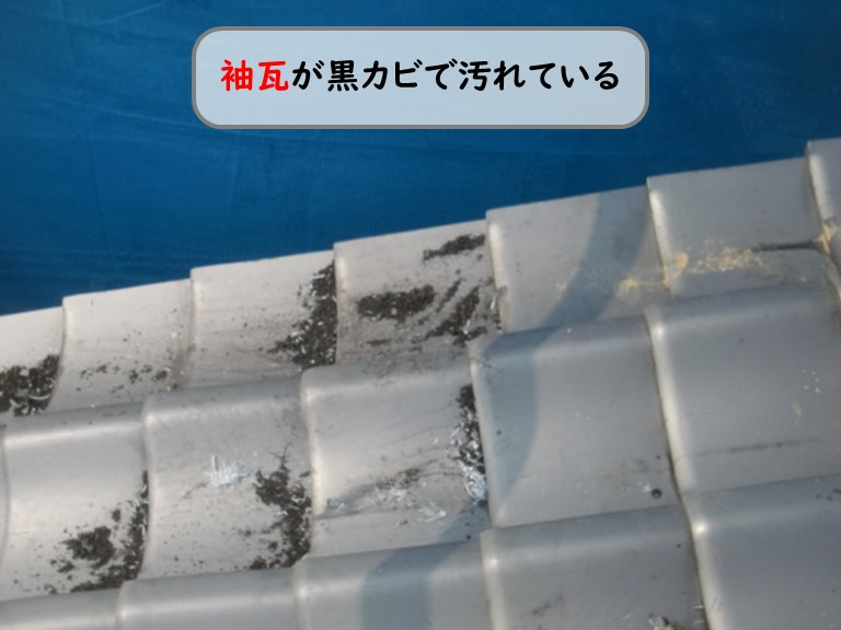 和泉市袖瓦が黒カビで汚れている