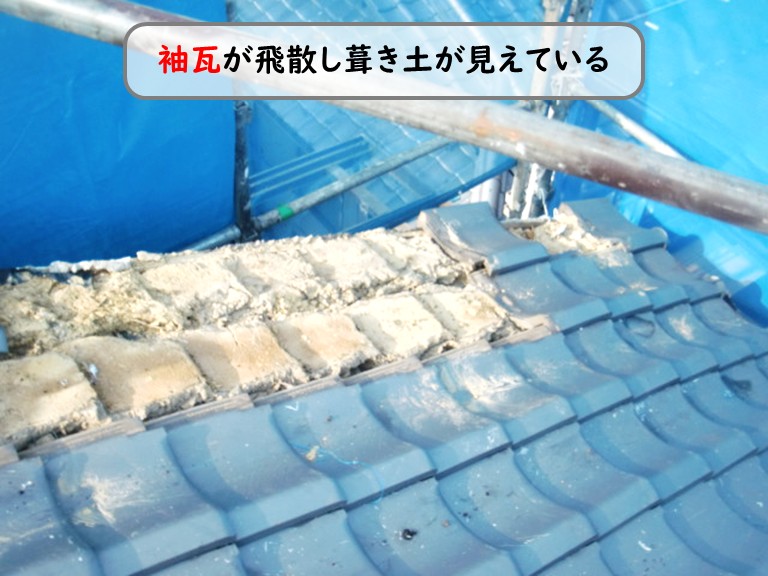 和泉市袖瓦飛散