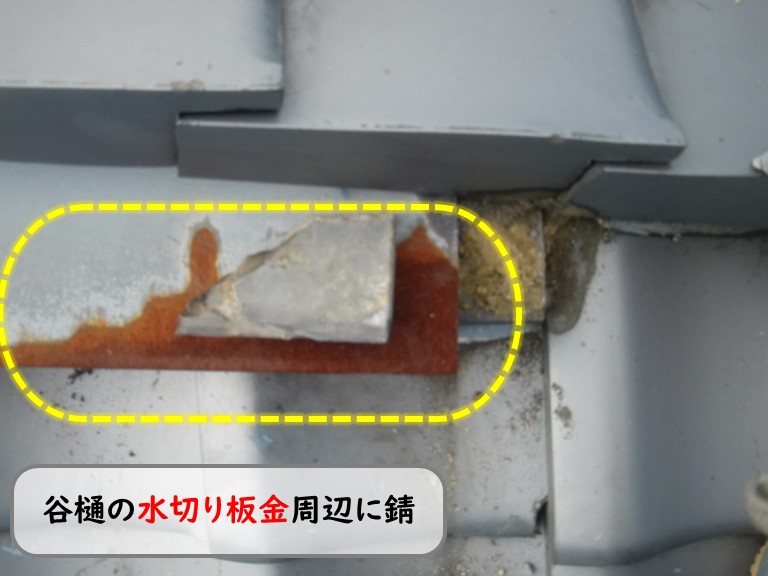 和泉市谷樋の水切り板金周辺に錆