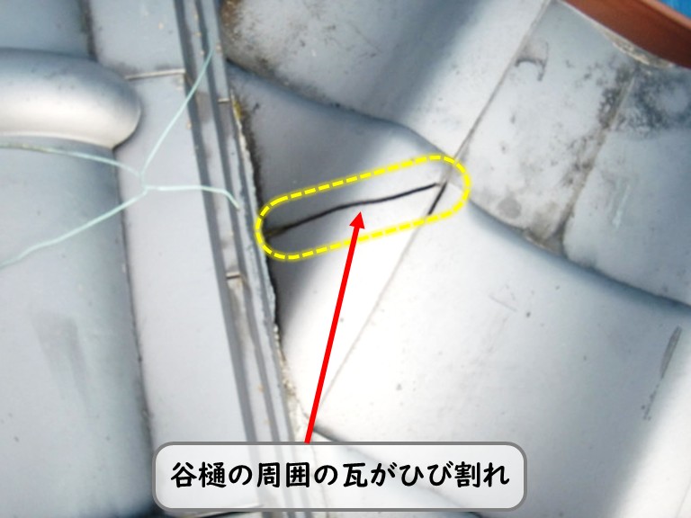 和泉市谷樋周囲瓦ひび割れ