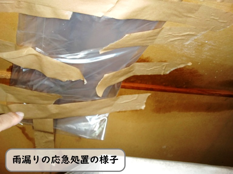 和泉市雨漏り応急処置