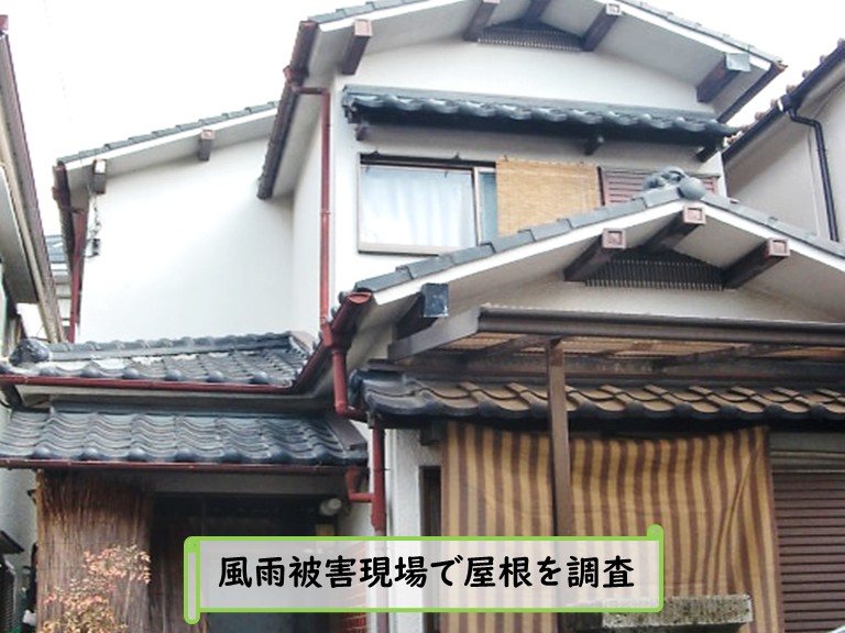 和泉市風雨被害現場