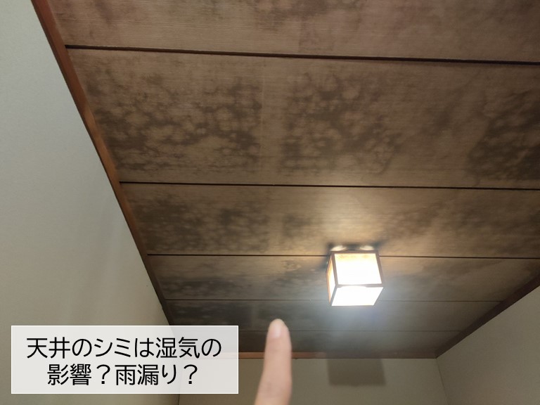 岸和田市の天井のシミは雨漏り？それとも湿気の影響？