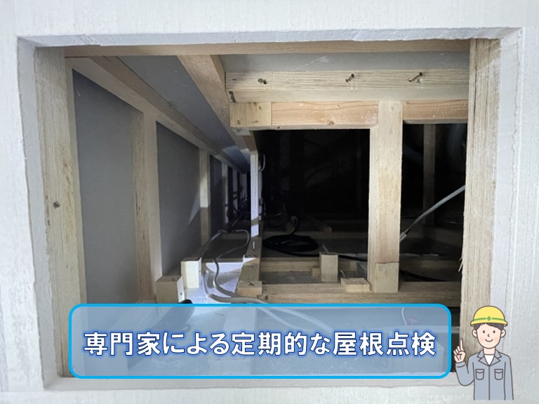 専門家による屋根点検
