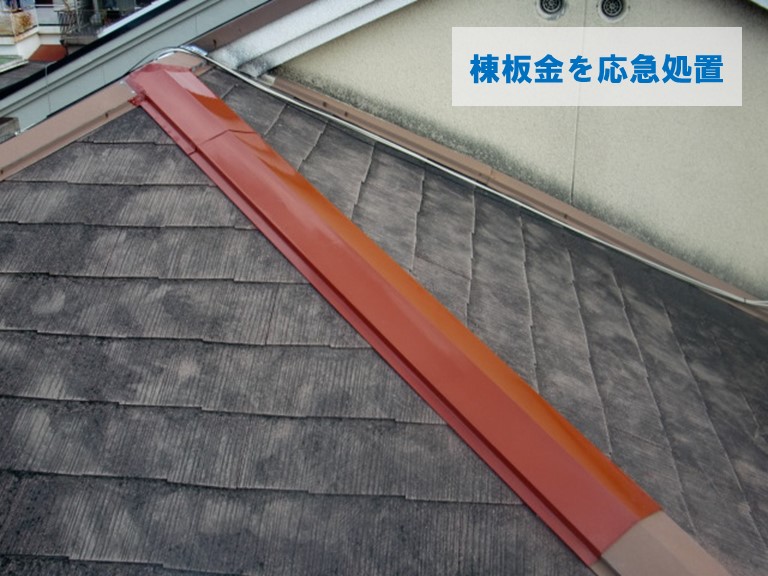 岸和田市で棟板金を応急処置