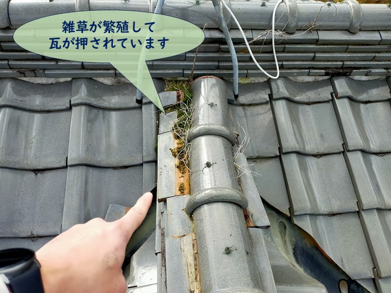 岸和田市で棟瓦から雑草