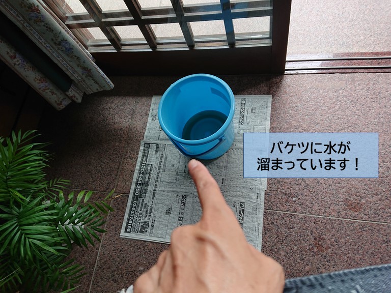 岸和田市で雨漏りが発生してバケツに水が溜まっています