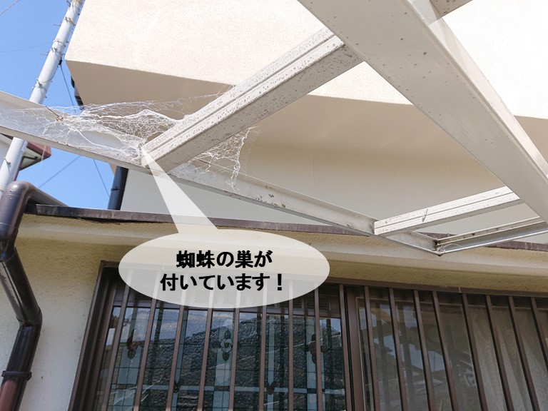 岸和田市のカーポートに蜘蛛の巣が付いています