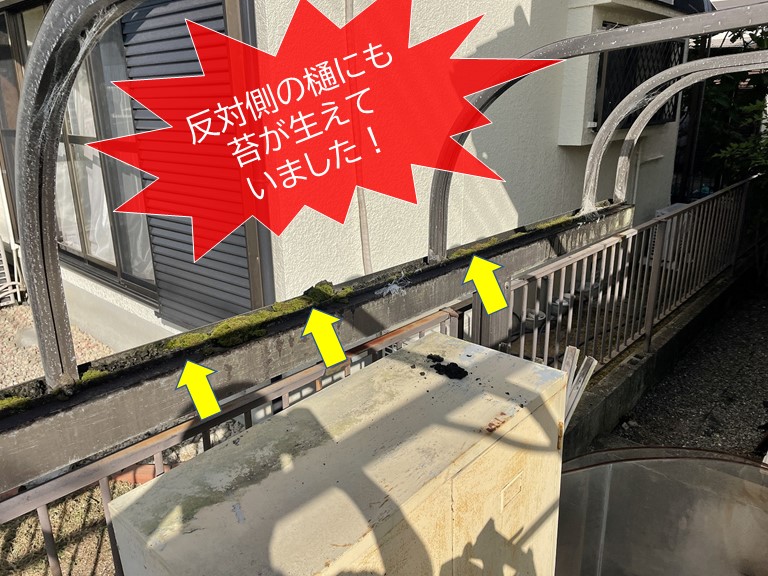 岸和田市のカーポートの樋に生えた苔
