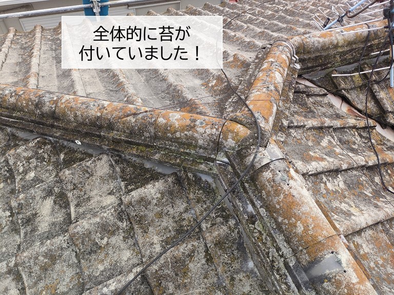 岸和田市のセメント瓦に苔が発生