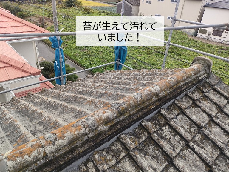 岸和田市のセメント瓦屋根に苔が生えていました