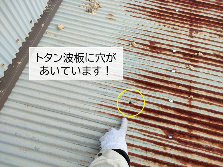 岸和田市のトタン波板に穴があいています
